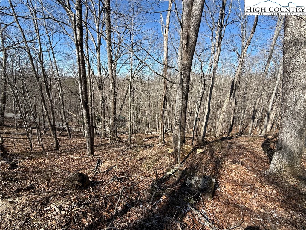 Image number 1 for the current listing