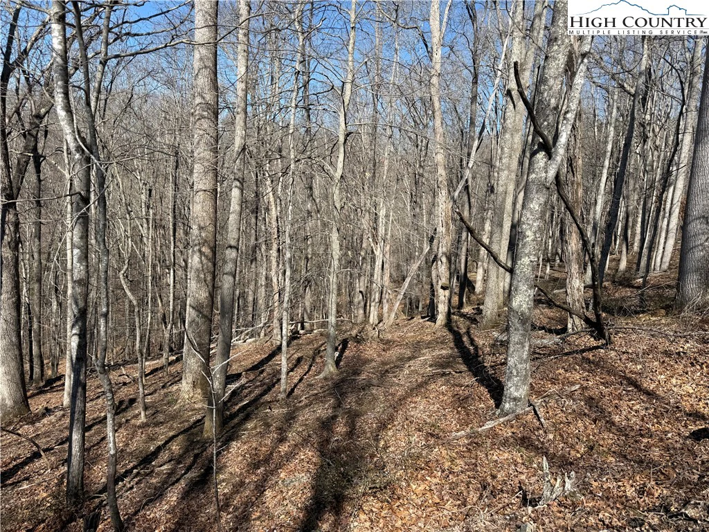 Image number 5 for the current listing