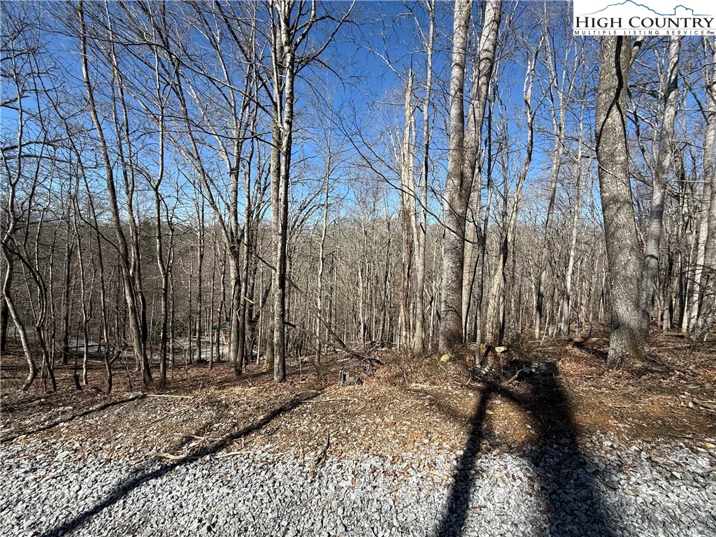 Image number 7 for the current listing