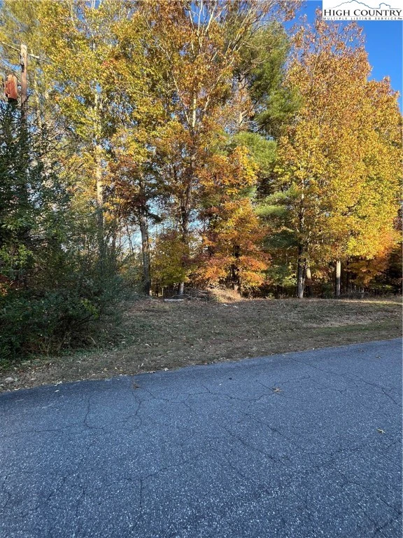 Image number 1 for the current listing