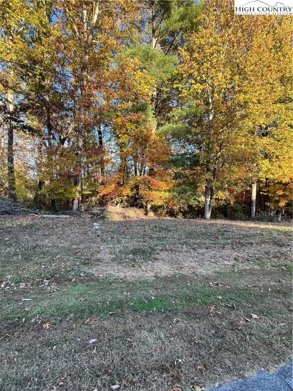 Image number 3 for the current listing