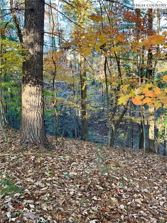 Image number 4 for the current listing