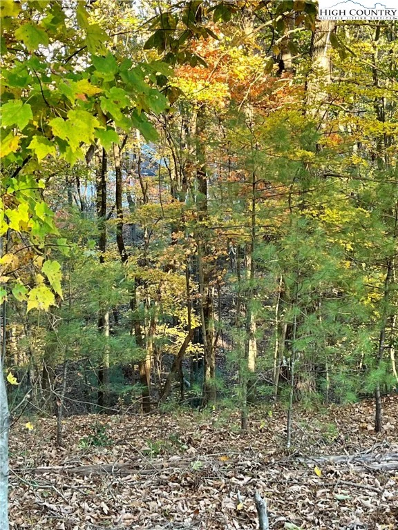 Image number 5 for the current listing