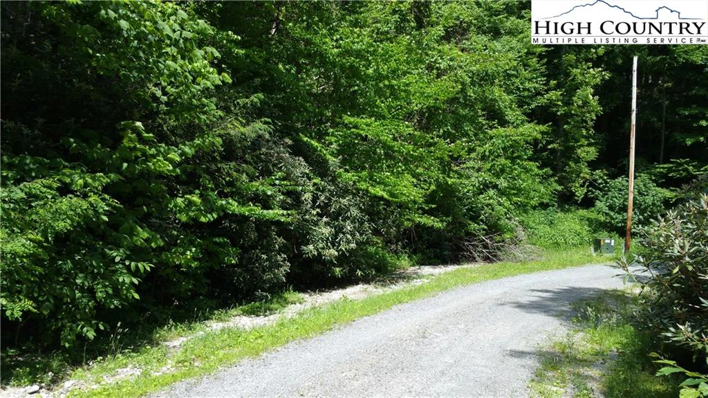 Image number 7 for the current listing
