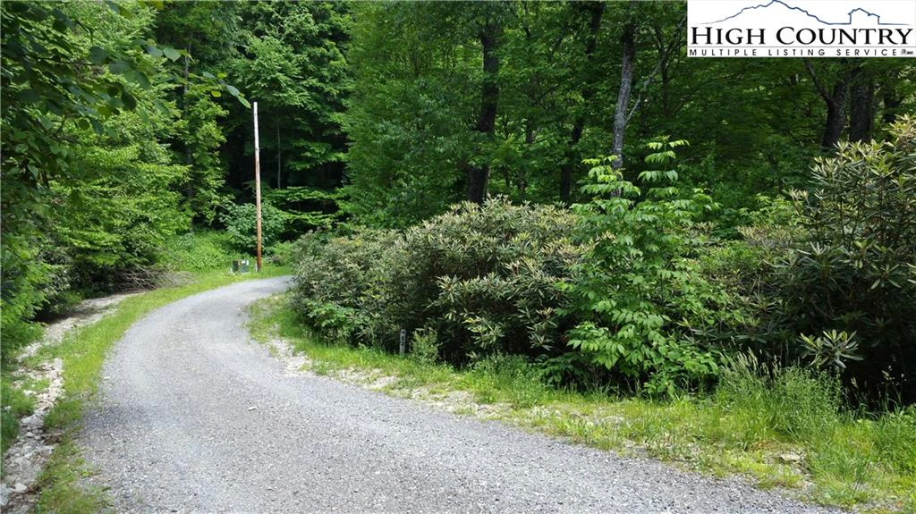 Image number 8 for the current listing