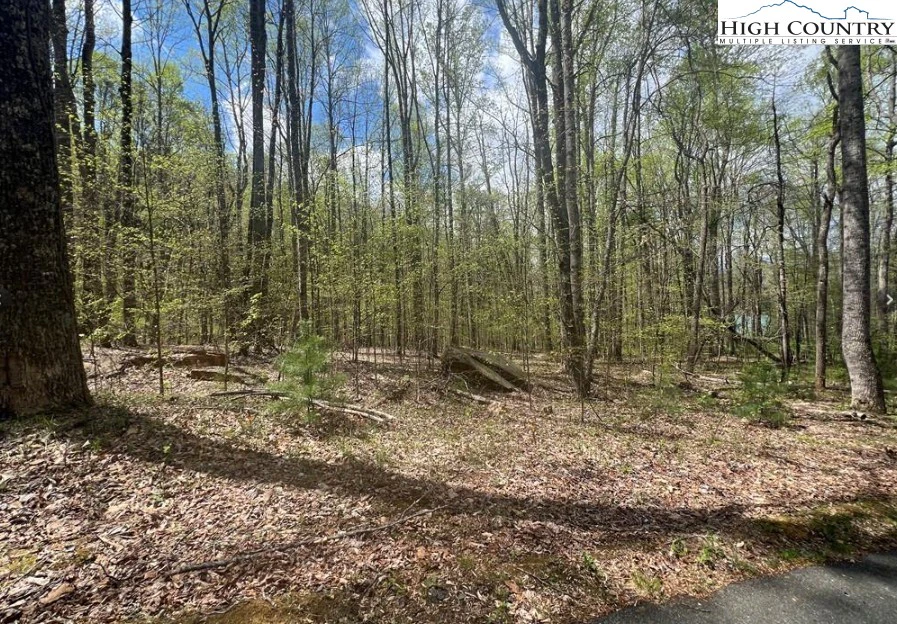 Image number 3 for the current listing