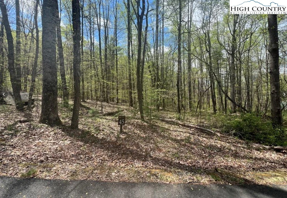 Image number 4 for the current listing