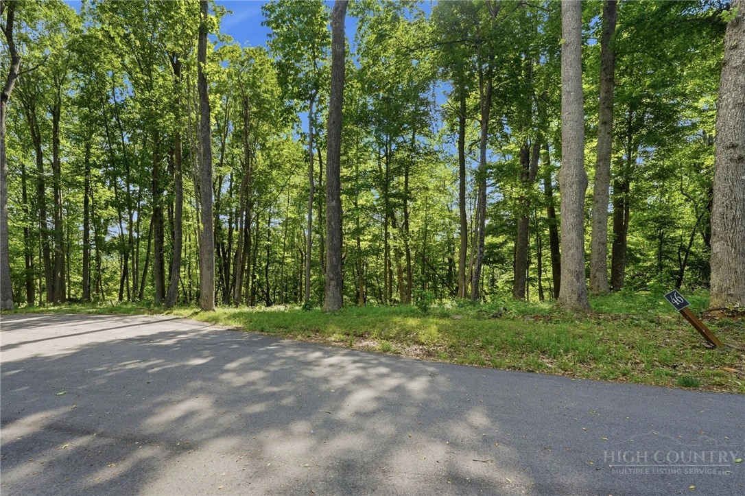 Image number 1 for the current listing