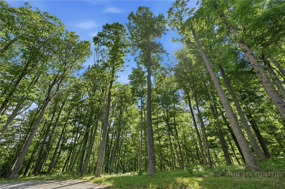 Image number 13 for the current listing