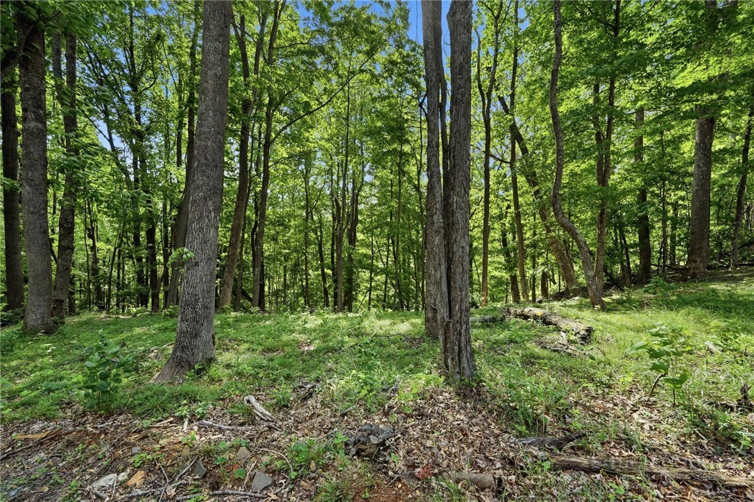 Image number 14 for the current listing