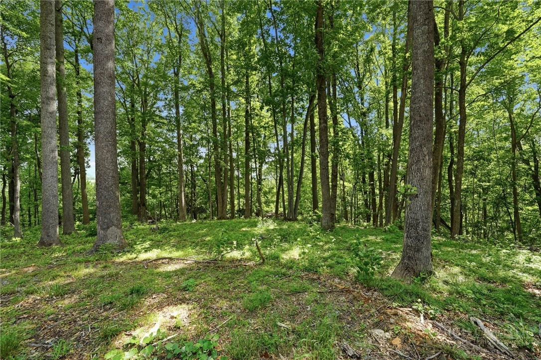 Image number 15 for the current listing