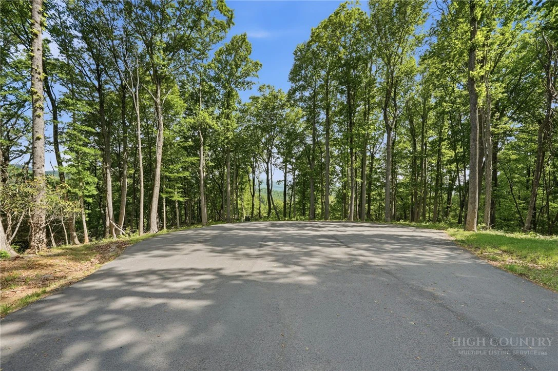 Image number 16 for the current listing