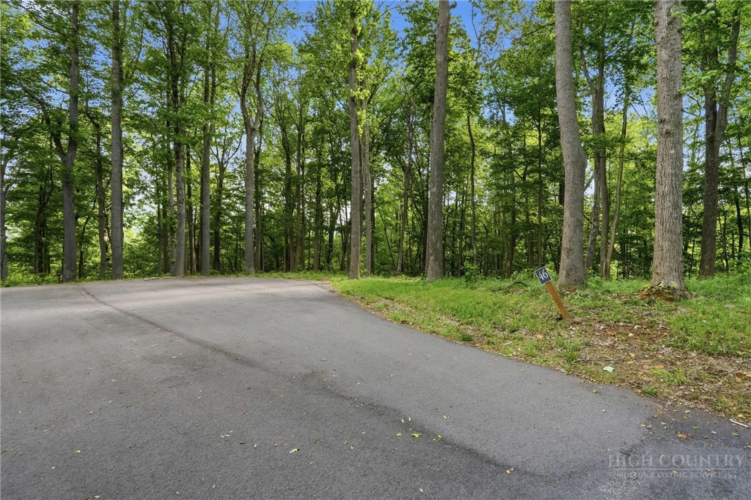 Image number 17 for the current listing
