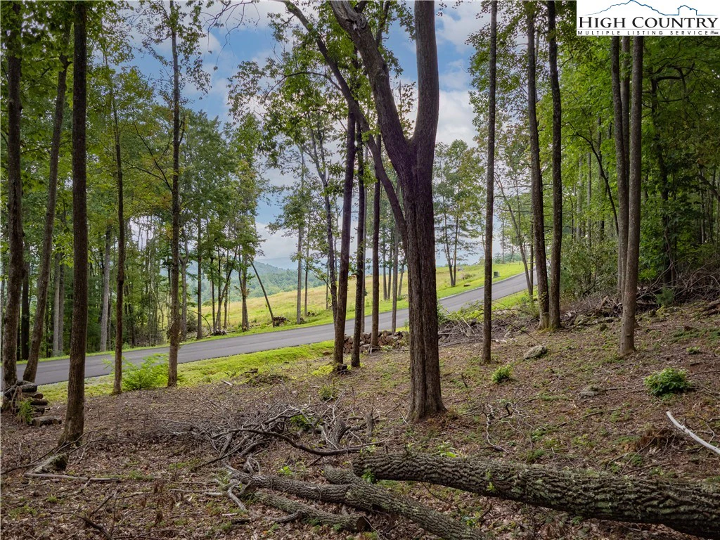 Image number 1 for the current listing