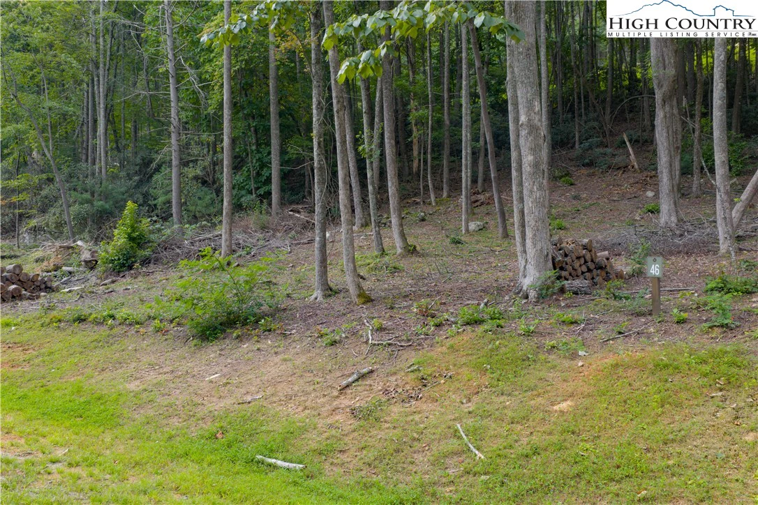 Image number 19 for the current listing