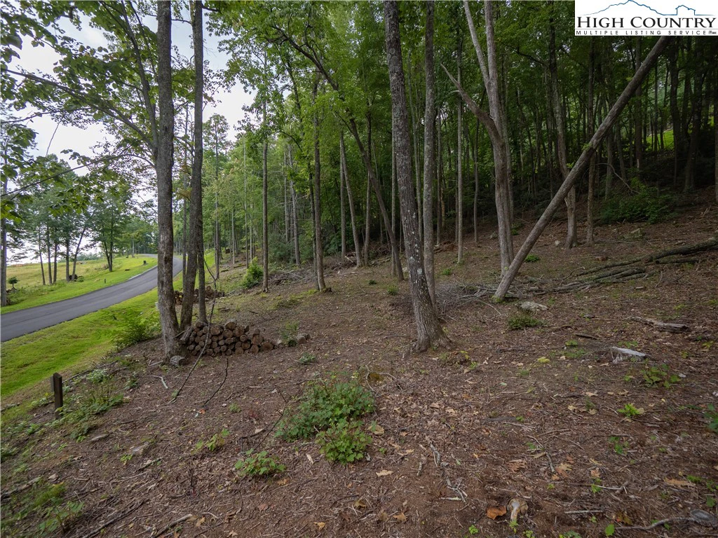 Image number 16 for the current listing