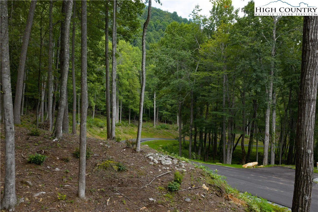 Image number 2 for the current listing