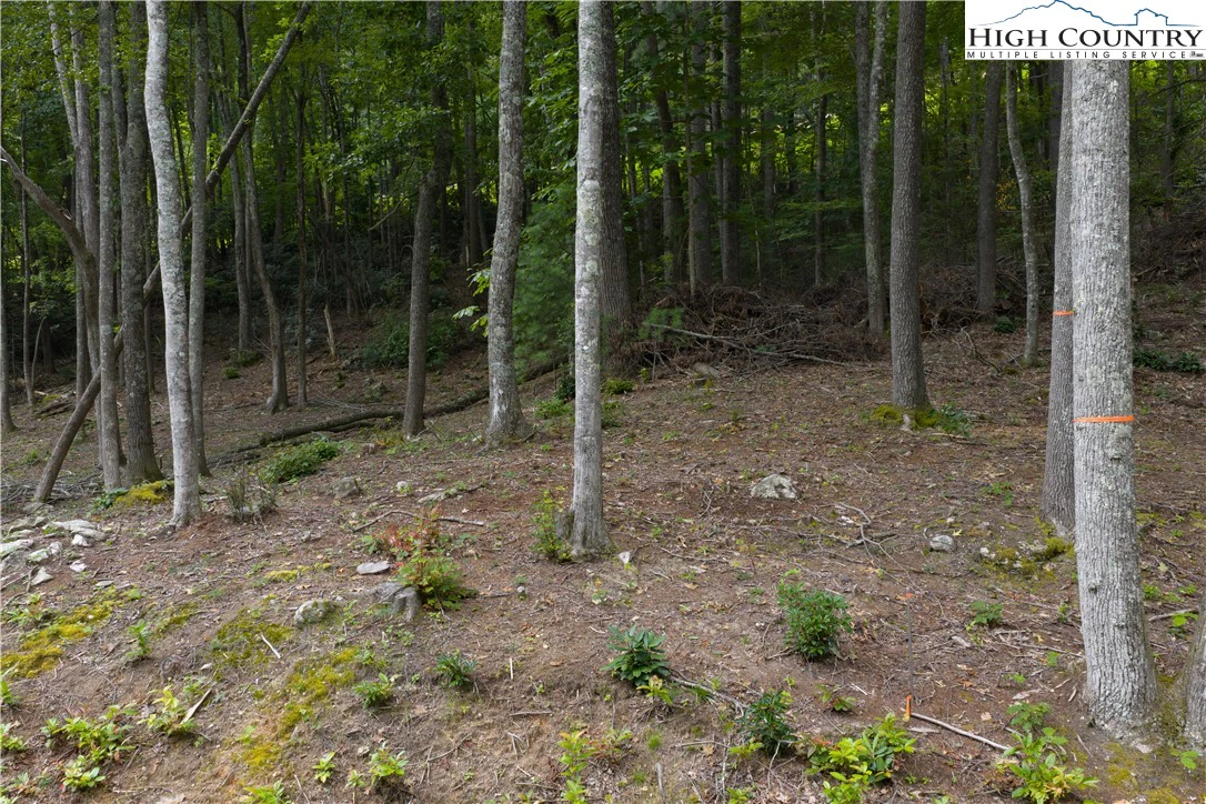 Image number 12 for the current listing