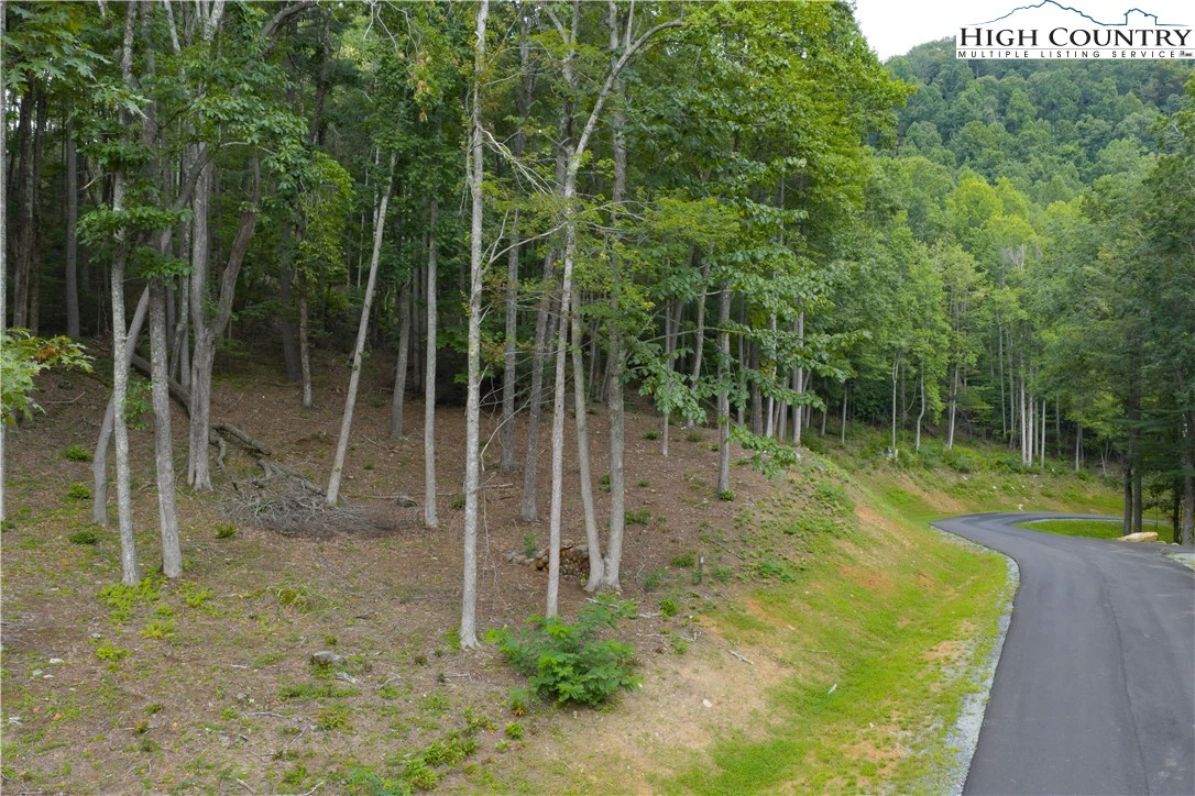 Image number 11 for the current listing