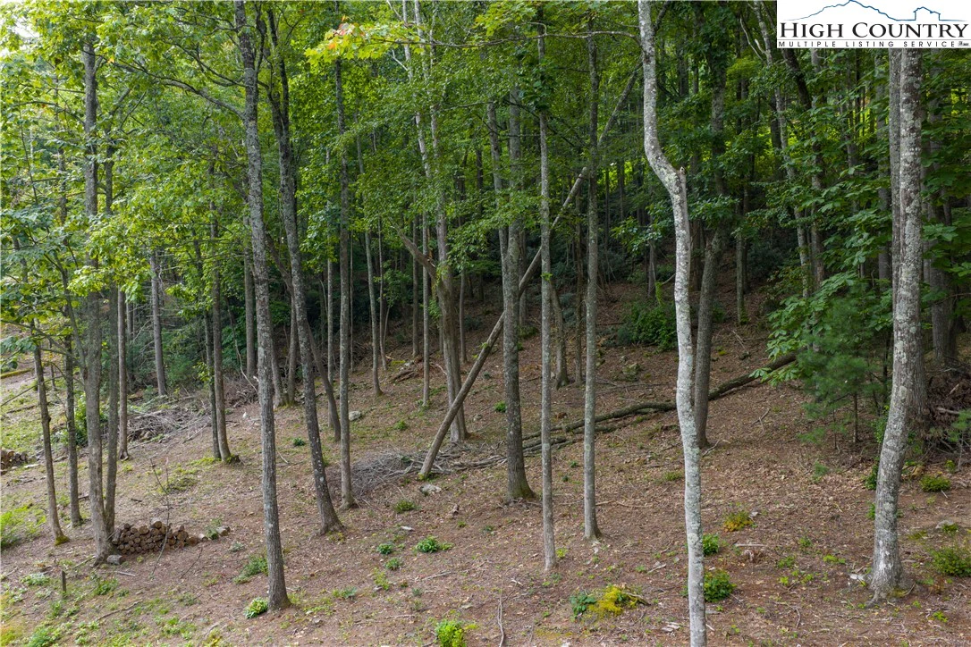 Image number 10 for the current listing