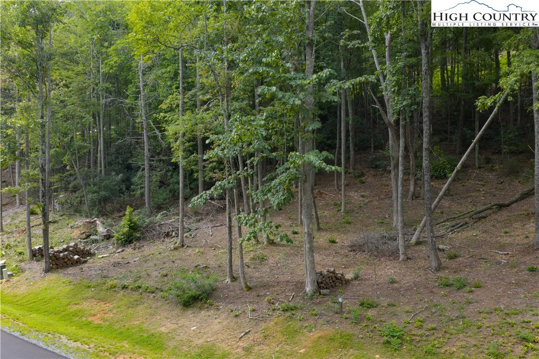 Image number 8 for the current listing