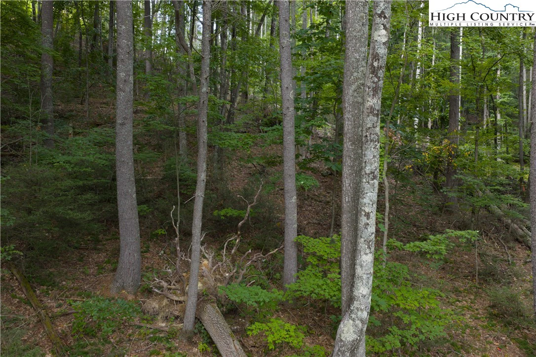 Image number 6 for the current listing