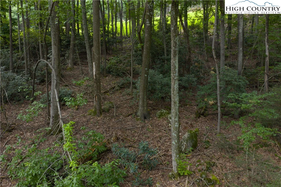 Image number 5 for the current listing