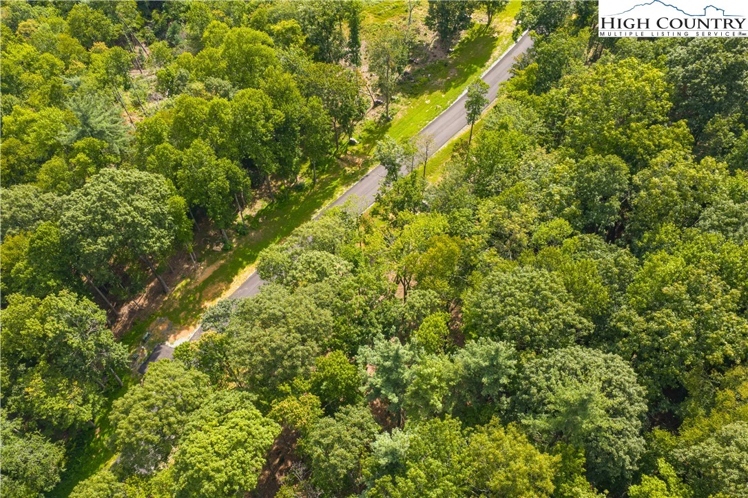 Image number 3 for the current listing