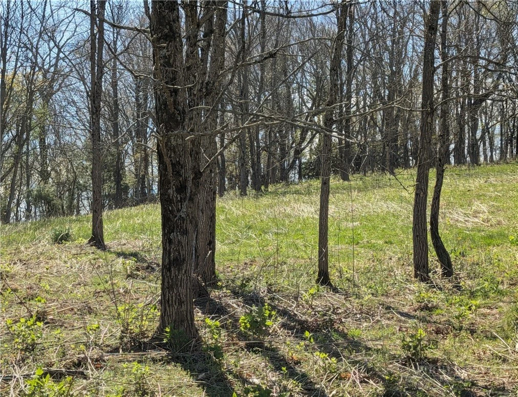 Image number 5 for the current listing