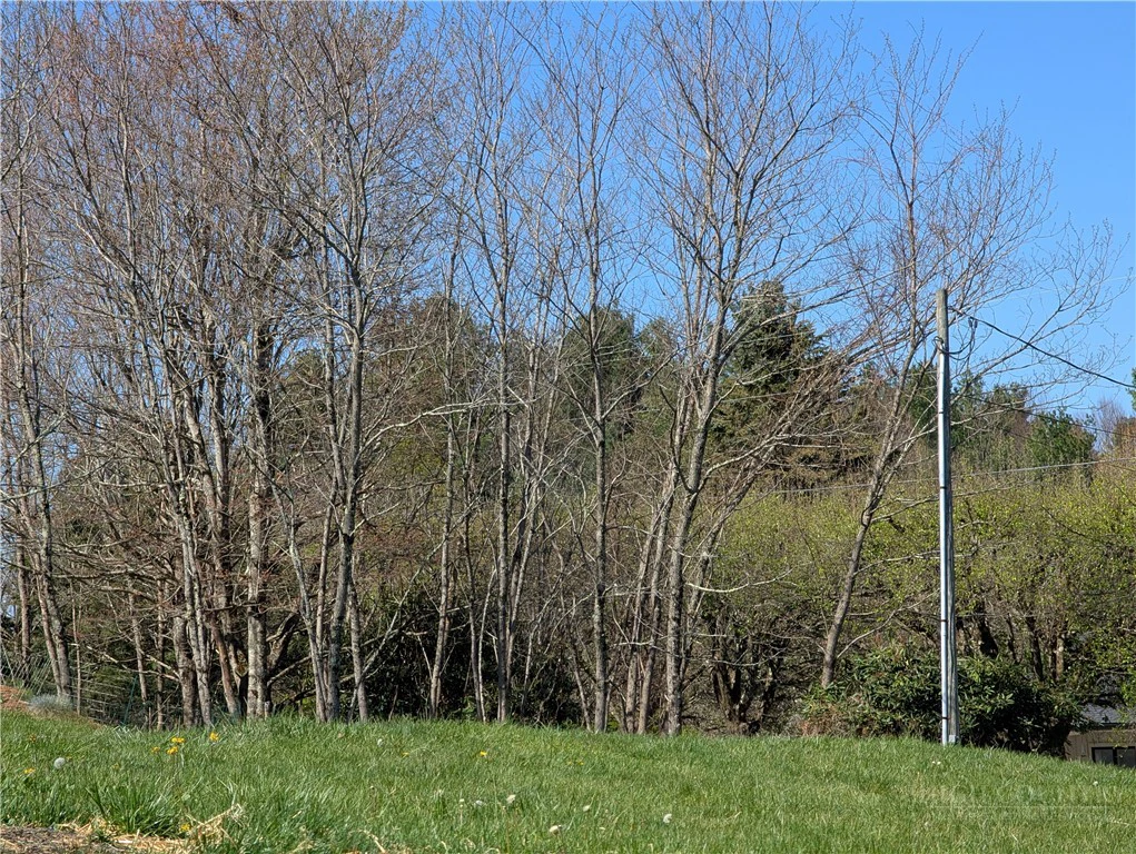 Image number 3 for the current listing