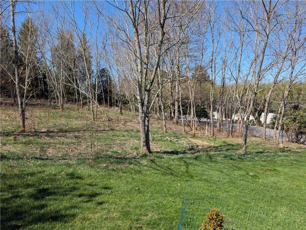 Image number 4 for the current listing