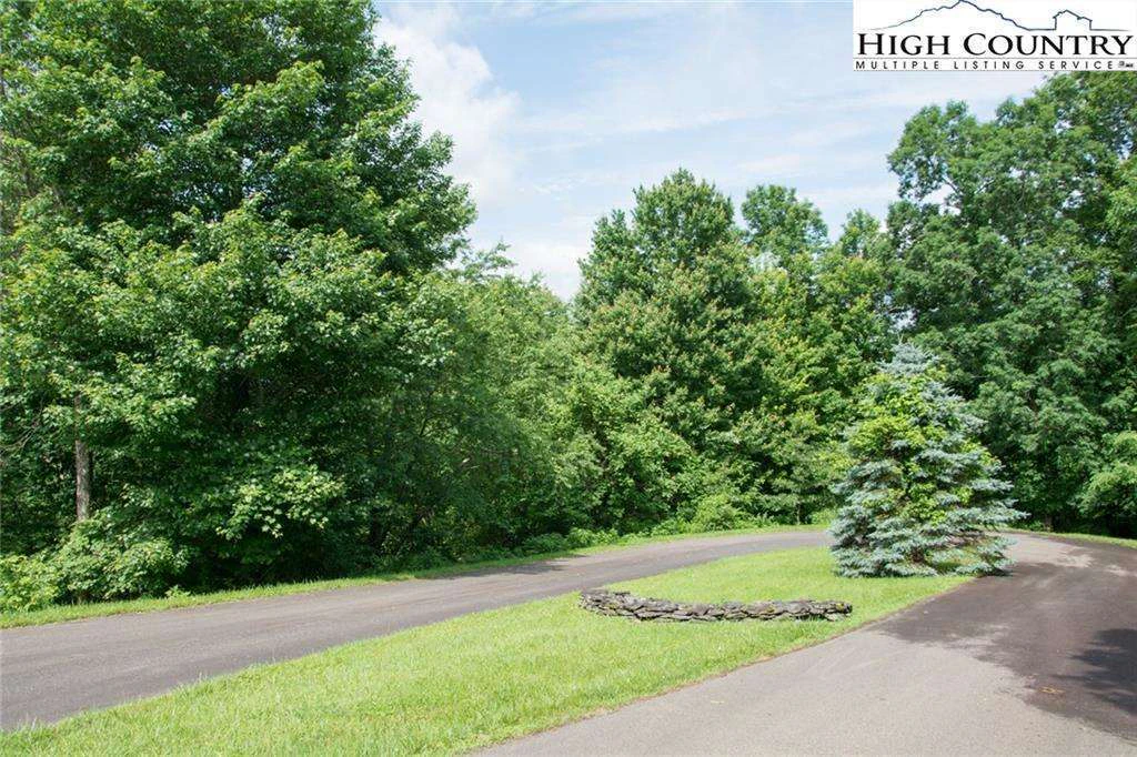 Image number 3 for the current listing