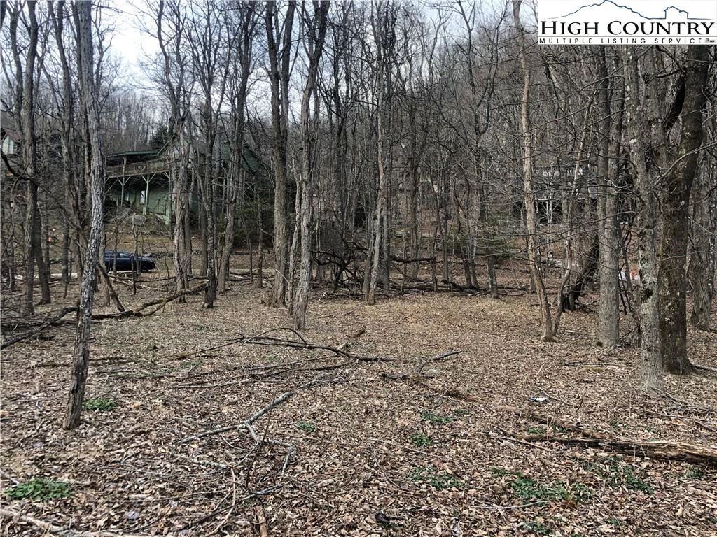 Image number 12 for the current listing