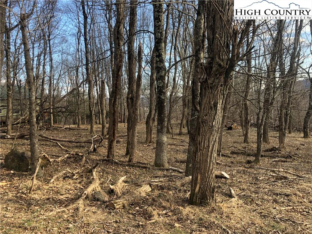 Image number 3 for the current listing