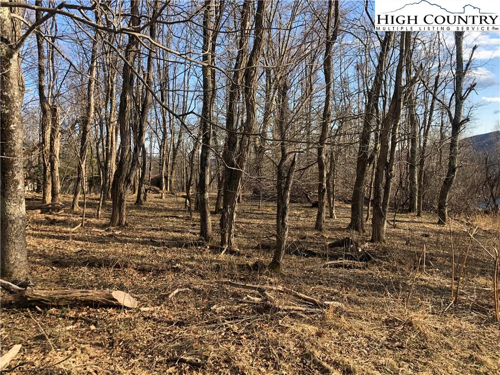 Image number 4 for the current listing