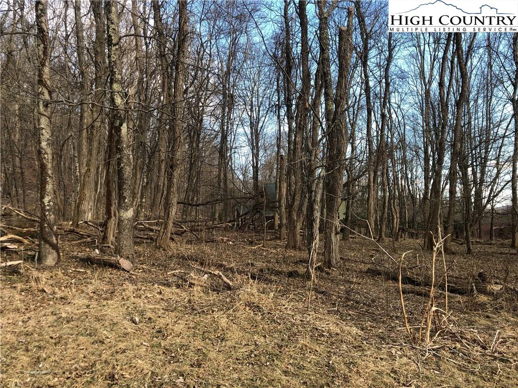 Image number 5 for the current listing