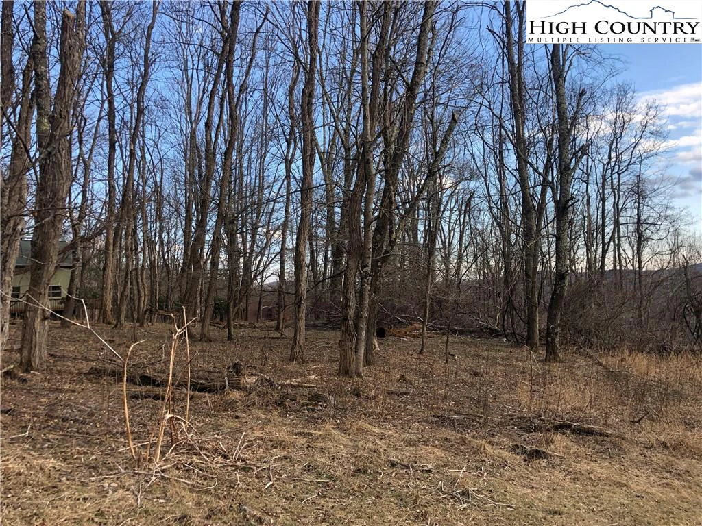 Image number 6 for the current listing