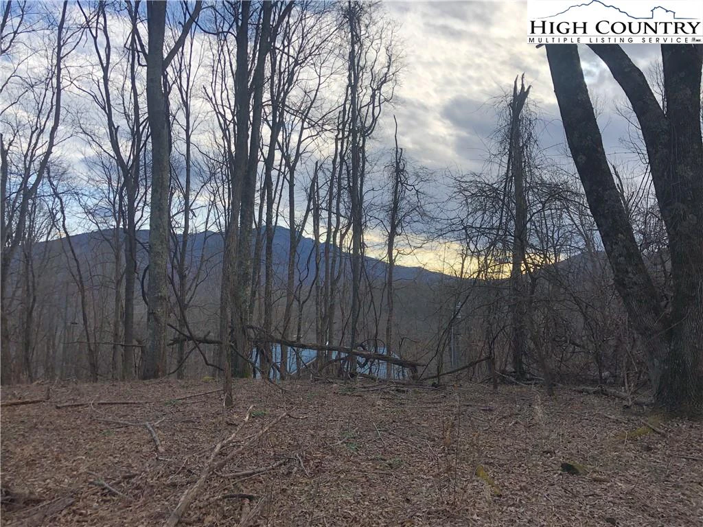 Image number 8 for the current listing