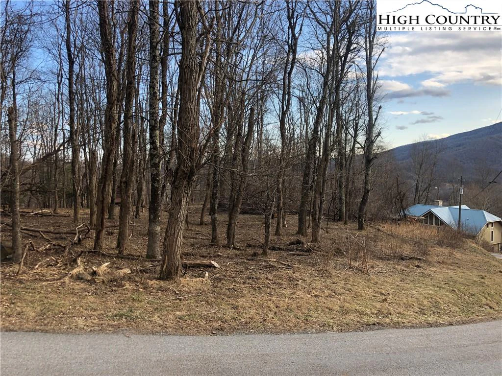 Image number 9 for the current listing