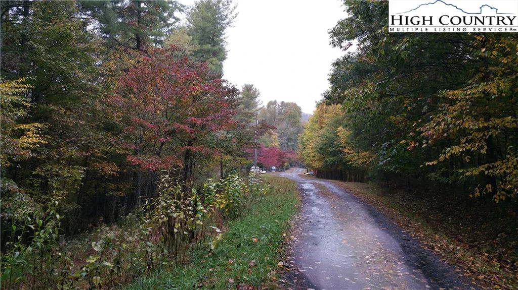 Image number 1 for the current listing