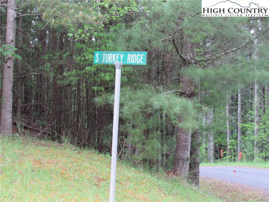 Image number 13 for the current listing