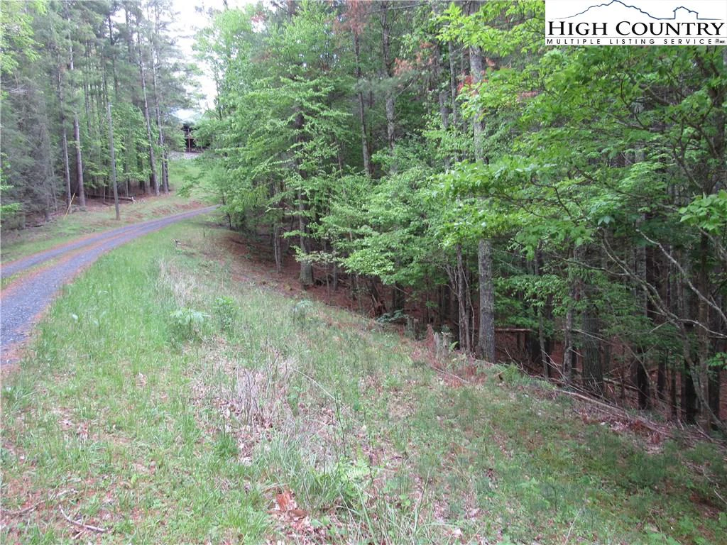 Image number 4 for the current listing