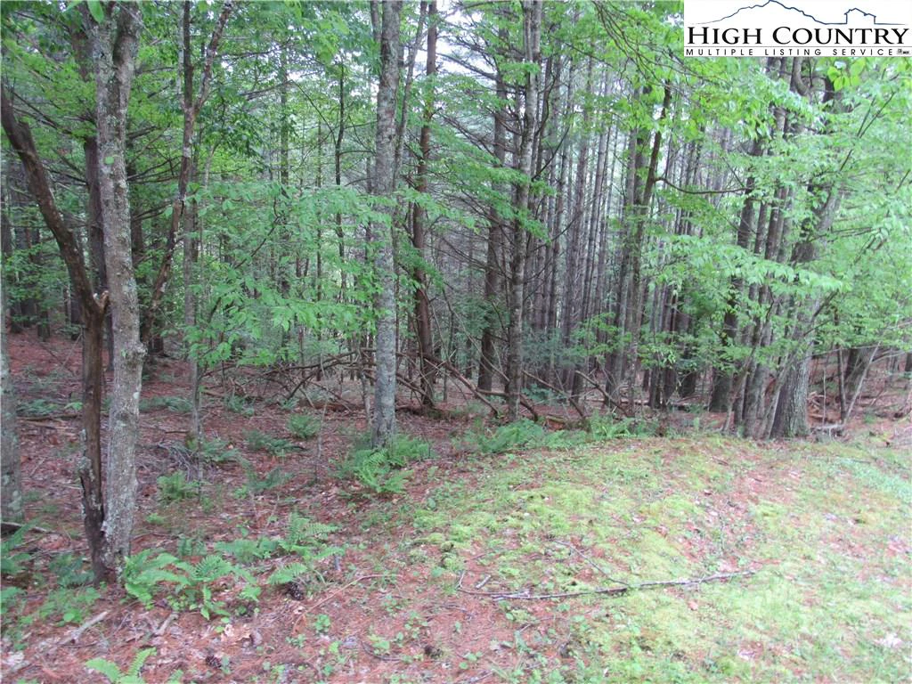 Image number 5 for the current listing