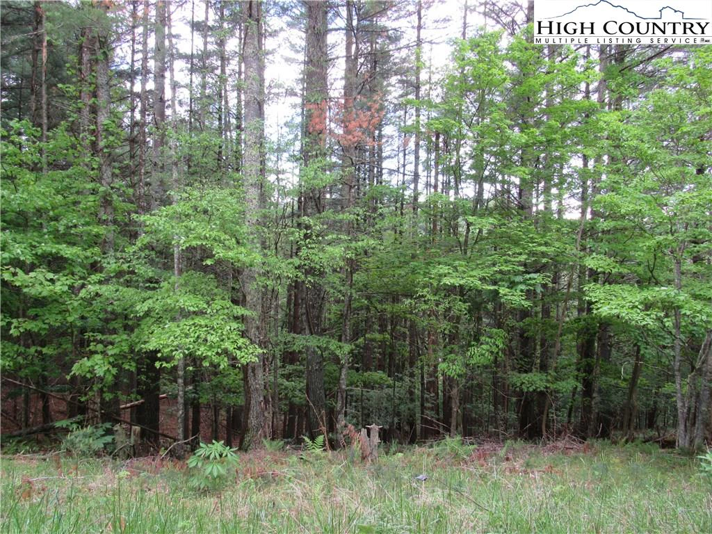 Image number 6 for the current listing