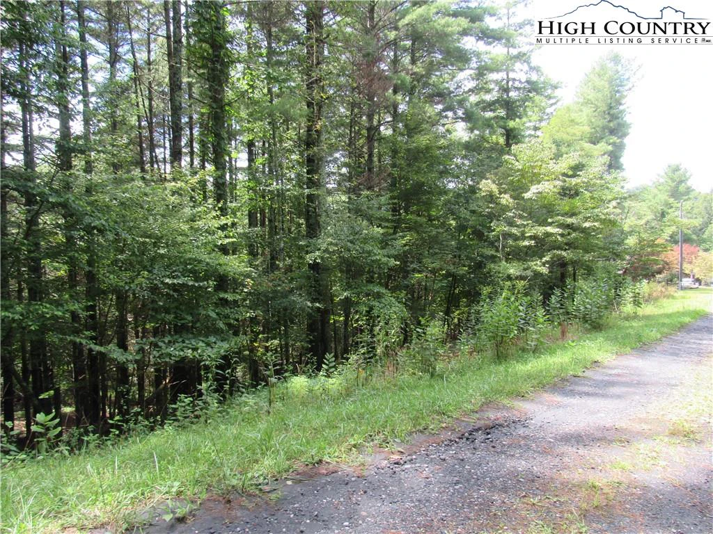 Image number 8 for the current listing