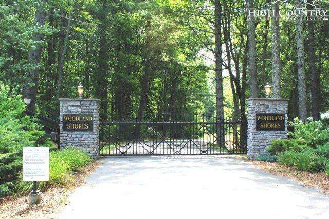 Image number 1 for the current listing