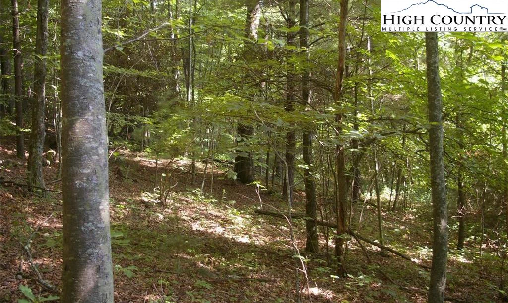 Image number 14 for the current listing