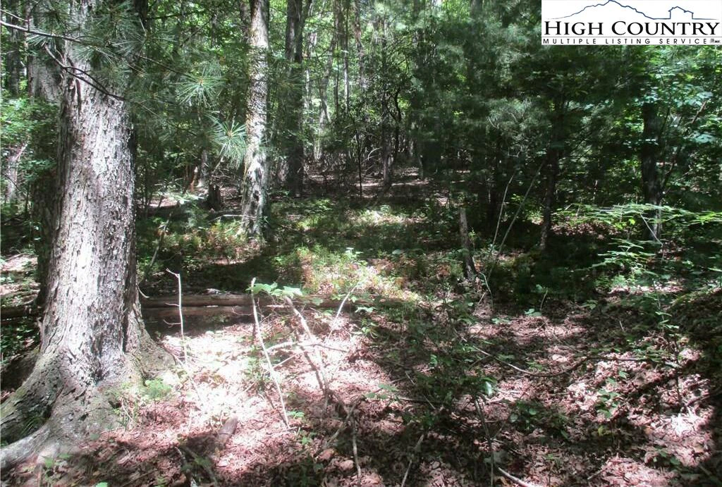 Image number 2 for the current listing