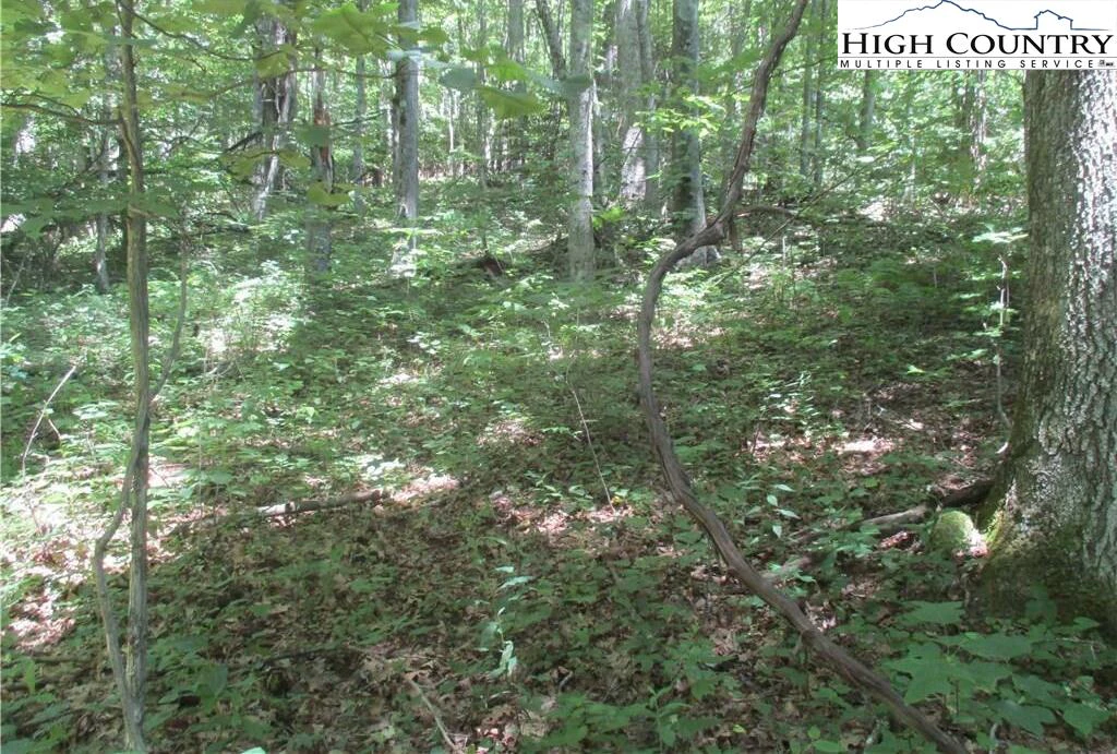 Image number 13 for the current listing