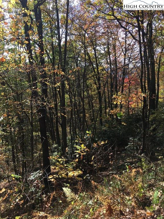 Image number 11 for the current listing